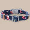 ST x Pawsitivity Garden Splendor Dog Collar