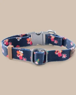 ST x Pawsitivity Garden Splendor Dog Collar