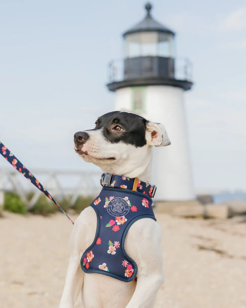 ST x Pawsitivity Garden Splendor Dog Harness