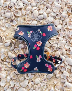ST x Pawsitivity Garden Splendor Dog Harness