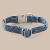 ST x Pawsitivity Schooling Fish Dog Collar