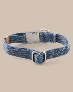 ST x Pawsitivity Schooling Fish Dog Collar