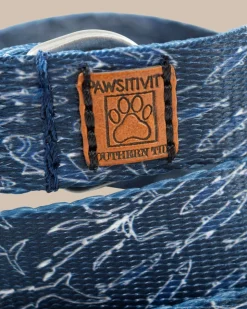 ST x Pawsitivity Schooling Fish Dog Leash