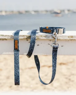 ST x Pawsitivity Schooling Fish Dog Collar